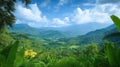 Breathtaking panoramic view of Jamaican mountains. Green valleys, forests spread across landscape. Clear blue sky with fluffy