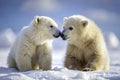 A Breathtaking Panoramic View Polar Bear and Brown Bear Cubs Touching Noses a Symbol of Unity in Natures Royalty Free Stock Photo