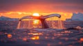 Majestic Sunset: Beautiful Whale Tail in Chilly Waters