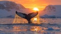 Majestic Sunset: Captivating Whale Tail in Icy Waters