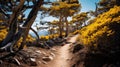 Stunning Plain Hiking Trail: Yellow, Blue, Pink, Black, Strong Shadows