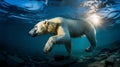Polar Bear Swimming in Icy Waters at Sunset