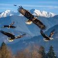 Majestic Bald Eagles Soaring in V-Formation against Clear Blue Sky