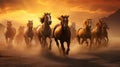 a horse herd against a solid background, bathed in the golden glow of a sunrise Royalty Free Stock Photo