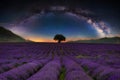 Breathtaking scenery of a lavender field with a single tree in the background under a Milky Way arch