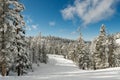 Breathtaking scenery of a snowy forest full of firs under the clear sky