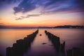 Breathtaking scenery of wooden poles at Lake Shinji in Matsue, Japan during sunset Royalty Free Stock Photo