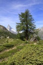 Breathtaking shot of a beautiful landscape near the Matterhorn mountain in Zermatt, Switzerland Royalty Free Stock Photo