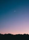 Breathtaking shot of a crescent moon in the middle of a blue sky with silhouettes of trees below Royalty Free Stock Photo