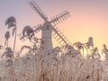 Breathtaking shot of a windmill and frozen plants during the beautiful sunset