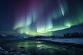 A breathtaking spectacle the beautiful aurora lights up the night