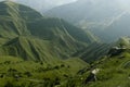 Breathtaking summer mountain landscape - lush saturated green slopes of hight ridges in early morning blue mist with deep shadows Royalty Free Stock Photo