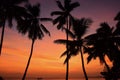 Fiji Island Sunset