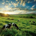 Sunset Glow Over Pastoral Farm