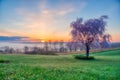 Breathtaking sunset landscape over a grassy field in Venango, Pennsylvania