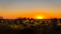 A breathtaking sunset, Onguma Game Reserve, Namibia. Royalty Free Stock Photo