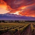 Breathtaking Sunset over Majestic Mountains in Mendoza