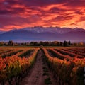 Breathtaking Sunset over Majestic Mountains in Mendoza