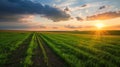 The Breathtaking Sunset Over Vast Agricultural Fields in South Ukraine: A Majestic Display of Black