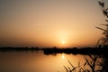 Breathtaking sunset scenery over the lake with silhouetted grass