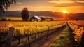 A Breathtaking Sunset Setting Over Vineyard, Mountains, and Barnscape in the distance with a fence and trees and a field with