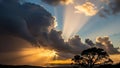 Dramatic Sunset with Golden Crepuscular Rays and Tree Silhouette Royalty Free Stock Photo