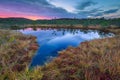 Breathtaking Tinovul Mohos with small lake at sunrise, Transylvania, Romania Royalty Free Stock Photo