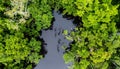 Wilderness River from Above with School of Fish Royalty Free Stock Photo