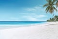 A breathtaking tropical beach featuring lush palm trees and crystal-clear turquoise waters, White sand and coco palms travel Royalty Free Stock Photo