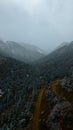 Breathtaking vertical shot of the mesmerizing foggy forested mountains