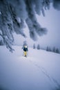 Breathtaking vertical snowy landscape with a person Alpine skiing with a light