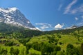 Breathtaking view of the Alps from Grindelwald, Switzerland Royalty Free Stock Photo