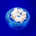 Breathtaking view of an Australian spotted jellyfish (phyllorhiza brugelette) on a blue background