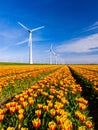 A breathtaking view of a field filled with vibrant yellow and red tulips with majestic windmills Royalty Free Stock Photo