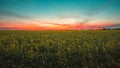 Breathtaking view of a flower field under the amazing colorful sky in Middleburg, Netherlands