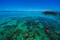 Breathtaking view of the Great Barrier Reef with scuba divers exploring the corals