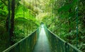 Breathtaking view of hanging bridge in Monteverde Cloud Forest, Costa Rica Royalty Free Stock Photo