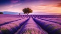 A breathtaking view of the lavender-filled Provence countryside in France, dotted with scenic clouds and vibrant violets