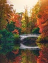 Breathtaking view of the Linn park in autumn with bright colorful trees in Glasgow Scotland