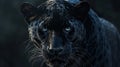 breathtaking view of a majestic black panther in a striking closeup, wildlife wonders
