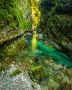 Breathtaking view over colorful Radovna river in Vintgar Gorge, Slovenia.