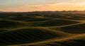 Palouse Hills at Sunset Rolling Fields Landscape Royalty Free Stock Photo