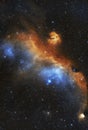 Breathtaking view of the Seagull Nebula in the night sky Royalty Free Stock Photo