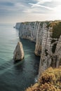 A breathtaking view of towering white cliffs, a serene sea, and lush greenery under a clear sky Royalty Free Stock Photo