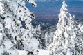 Breathtaking Views of Santa Fe New Mexico Valley from Snow Covered Mountain Top Royalty Free Stock Photo