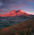 The breathtaking views of the volcano and amazing valley of flowers. Harry`s Ridge Trail. Mount St Helens National Park. USA Royalty Free Stock Photo