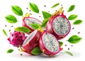 A Breathtaking Visual Feast Photorealistic Dragon Fruit Slices Falling Against a Pristine White Background Captured in Royalty Free Stock Photo