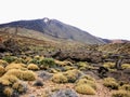 Breathtaking volcanic landscape. El Teide volcano  Las Canadas  Teide National Park Tenerife Canary Islands Spain. Royalty Free Stock Photo