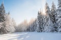 Breathtaking winter fairy tale in the surroundings of Lys mountains, Beskydy mountains, Czech Republic. The morning sun