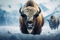 Breathtaking winter scene snowy bison on a tranquil snowy backdrop